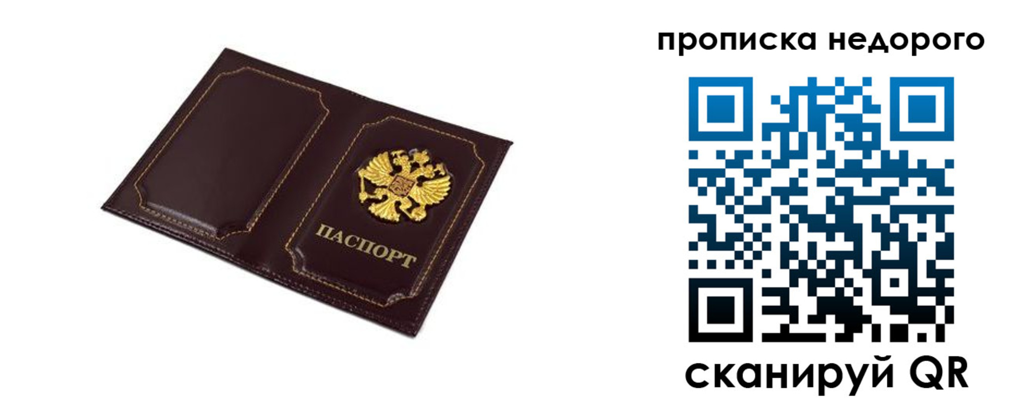 пропишу в квартире в Санкт-Петербурге